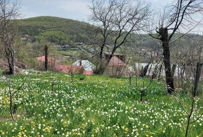 Casă cu 6 camere în Valea Mare - 2