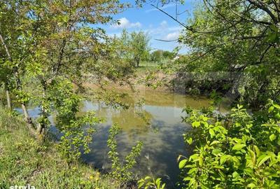 Spațiu comercial, în Calafindești - 7