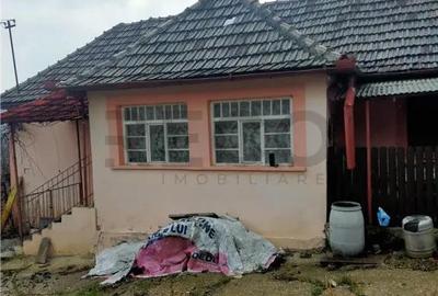 Casă cu 3 camere cu Teren 2650 Mp în Burzuc - 8