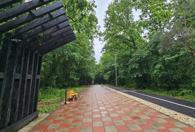 Teren de 22500 mp, în Păulești - 3