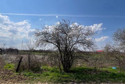 Teren de 1350 mp, în Leu - 3