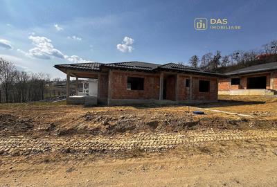 Casă cu Teren 5600 Mp în Groși - 5