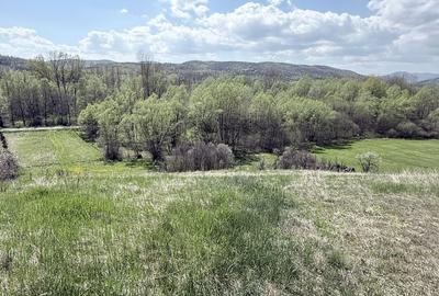 Spațiu comercial, în Ciula Mare - 4