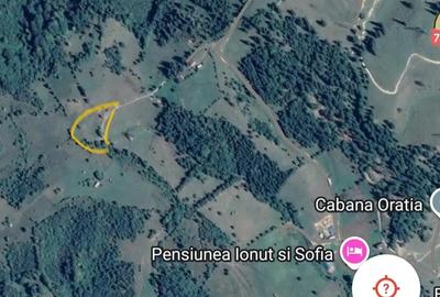 Teren de 3200 mp, în Dâmbovicioara - 5