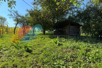 Casa Individuala 170 Mp In Visea cu teren de 2000mp Casa Individuala 170 Mp In Visea cu teren de 2000mp - 4