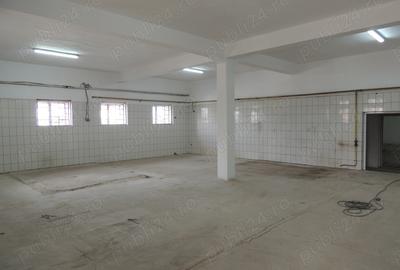 Inchiriez depozit (hala industriala) 462 mp Mihae?ti - Valcea - 2