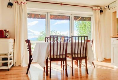 Casă individuală cu 3 camere cu Teren 4368 Mp în Tetila - 13