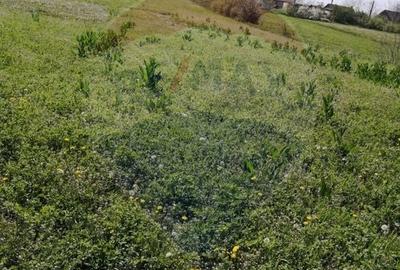 Teren Construcții intravilan de 6574 mp, în Leș - 6