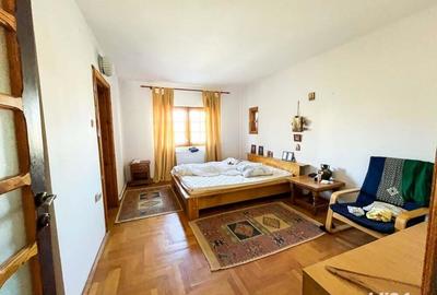 Vila Trivale Pitesti - 2