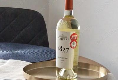 Ap. 2 cam - Pd. Ros - open space - renovat - 1