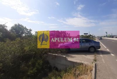 Teren perfect pentru deschiderea unei afaceri lângă București - 8