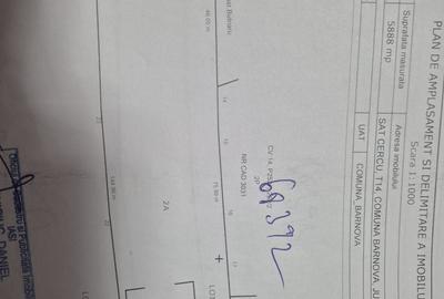 Spațiu comercial, în Cercu - 3