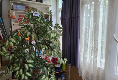Apartament cu 2 camere semidecomandat în Bucureștii Noi - 9