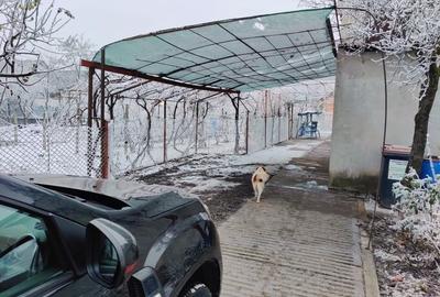 Casa de închiriat, 86 m2, 2 dormitoare + salon, baie, bucatarie, hol. - 9