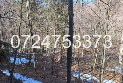 Casă individuală cu 2 camere cu Teren 527 Mp în Măneciu - 2