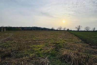 Spațiu comercial, în Diosig - 2