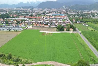 Teren Industrial - 13