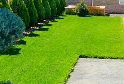 Sacalaz - casa de vanzare - 7