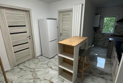 Apartament cu 2 camere decomandat în Dosu Bricii - 1