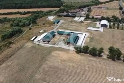 Teren în Crânguri - 14