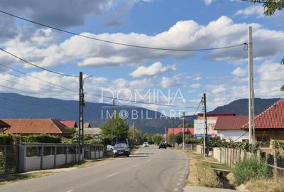 Casa D+P+M ?i teren 4334 mp - Runcu, Sat Rachi?i - 1