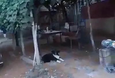 Casă cu 4 camere în Aldești - 3