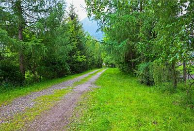 Complex turistic,afacere la cheie,3 vile, teren 7.700 mp,pan - 9