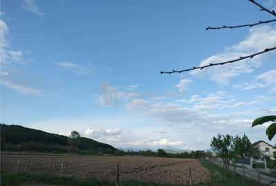 Teren intravilan in Razoare - 1