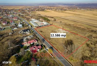 Teren de 12586 mp, în Gârleni - 1
