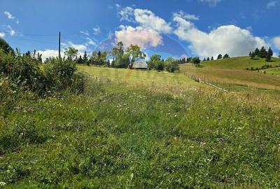 Teren de vis in Fundata 3868mp, la inal?imea sufletul... - 8