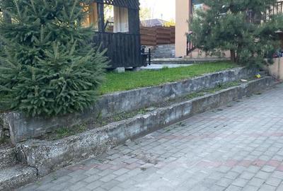 Casă cu 1 camere cu Teren 1050 Mp în Vulturi - 3