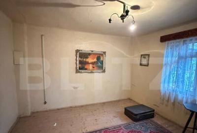 Proprietate completa in Sacuieni- Doua Case + Anexe - 16