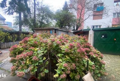 Spațiu comercial, în Agronomie - 2