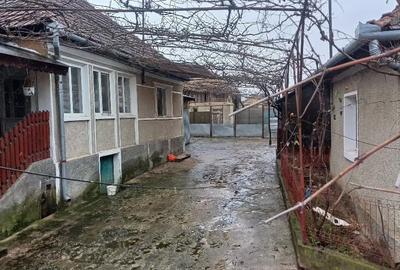 Casă cu 3 camere cu Teren 1013 Mp în Bogei - 2