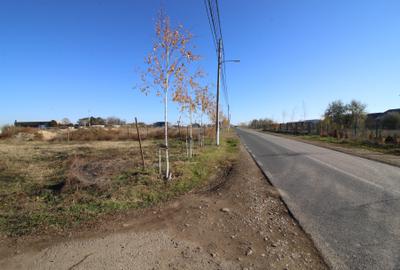 Teren intravilan Sat Costi str. Cosarelor - 4