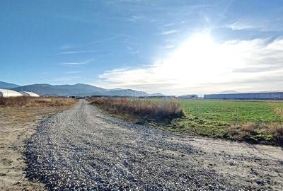 Teren Industrial - 8