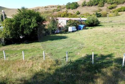 Teren Tarnava pretabil afacere sau parcelabil 4400 mp - 3