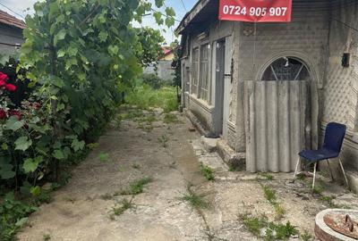 Casă cu 3 camere în Cernica - 3