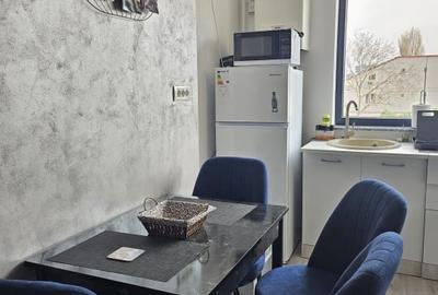 Studio 1 camera de inchiriat – Mamaia Nord Ștefan Building - 8