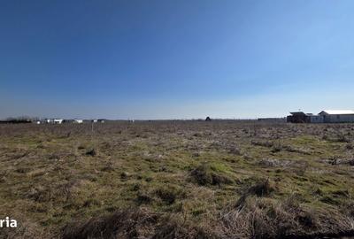 Spațiu comercial, în Corbu - 2