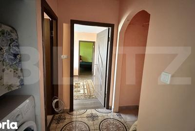 Apartament cu 3 camere semidecomandat în Cetate - 11