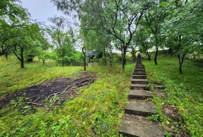 Casă cu 10 camere cu Teren 26417 Mp în Vălenii de Munte - 4