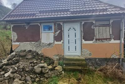 Casă în Fițcău - 9