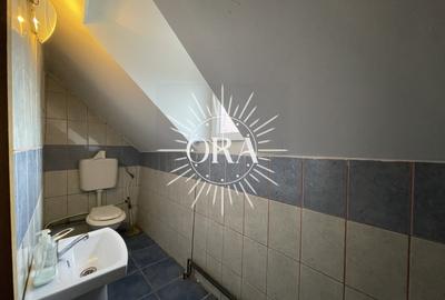 CASA DE VANZARE CU 3 CAMERE IN IRIS | LOCUIBILA | NECESITA RENOVARE - 8