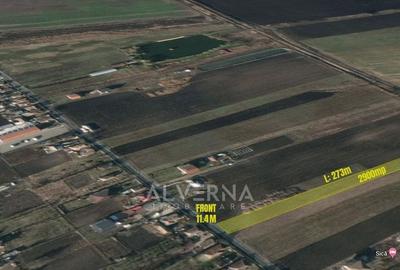 Teren intravilan - cadastrat - 2900mp - front 11.4m - Jucu de Mijloc - 3