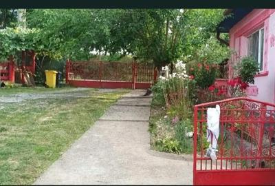 Casă cu 2 camere cu Teren 53 Mp în Tămășești - 1