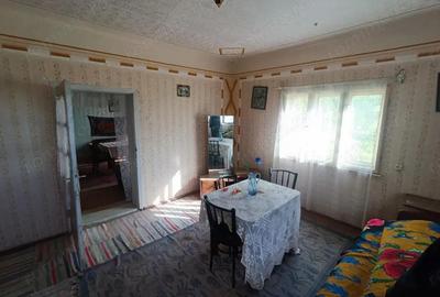 Casă cu Canalizare în Măgulicea - 9