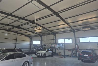 Hale de Inchiriat 600 mp Chitila - 6