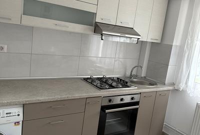 Apartament cu 2 camere semidecomandat în Șagului - 13
