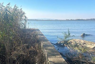 TEREN INTRAVILAN LA DUNARE sat. Macesti - 9